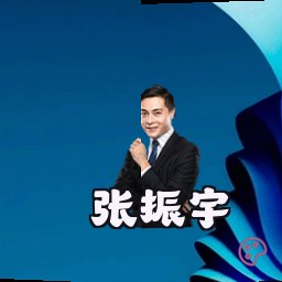 张振宇
